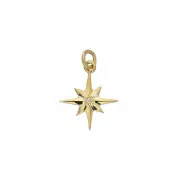 Gold Compass Rose with Diamond