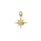 Gold Compass Rose Charm